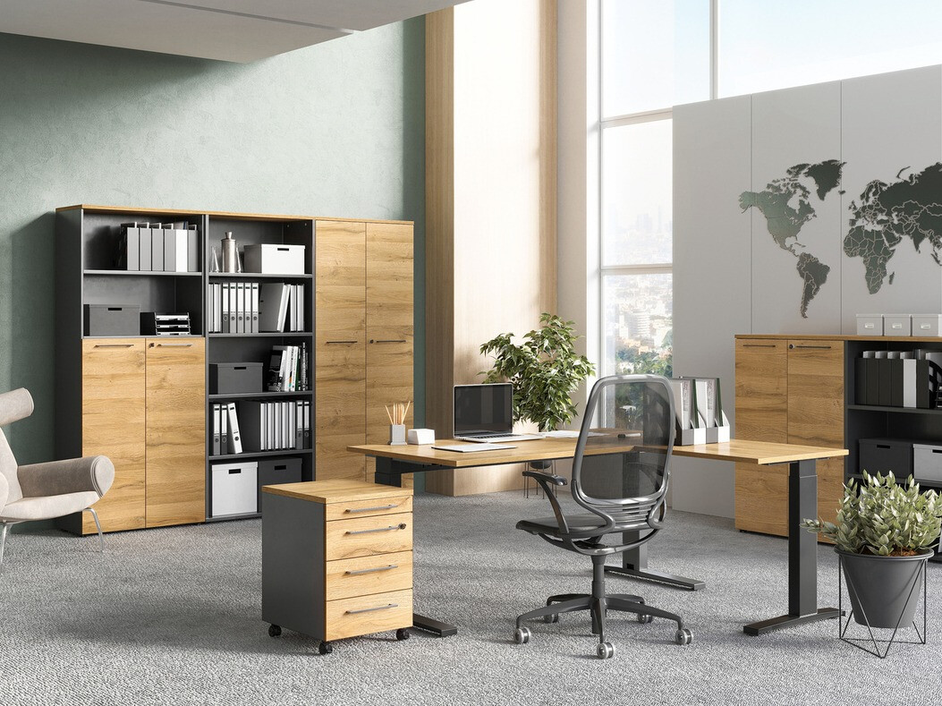 Polica Eliromo 111 (Graphite + Unuk hrast)