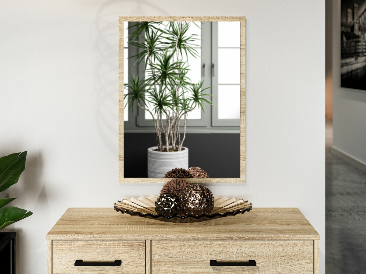 Ogledalo Camtesu 124