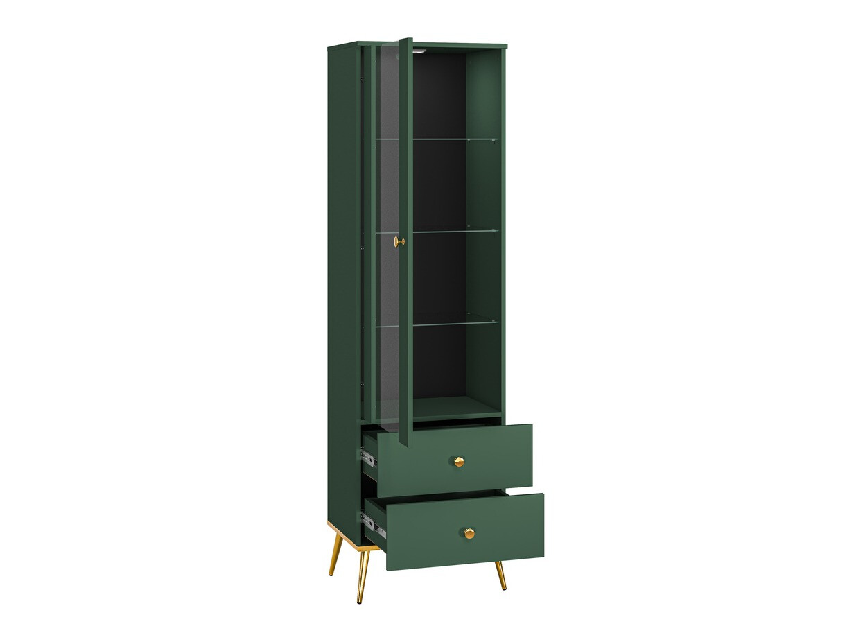 Polica Flonovu 100 (Tamno zelena + Zlatan)