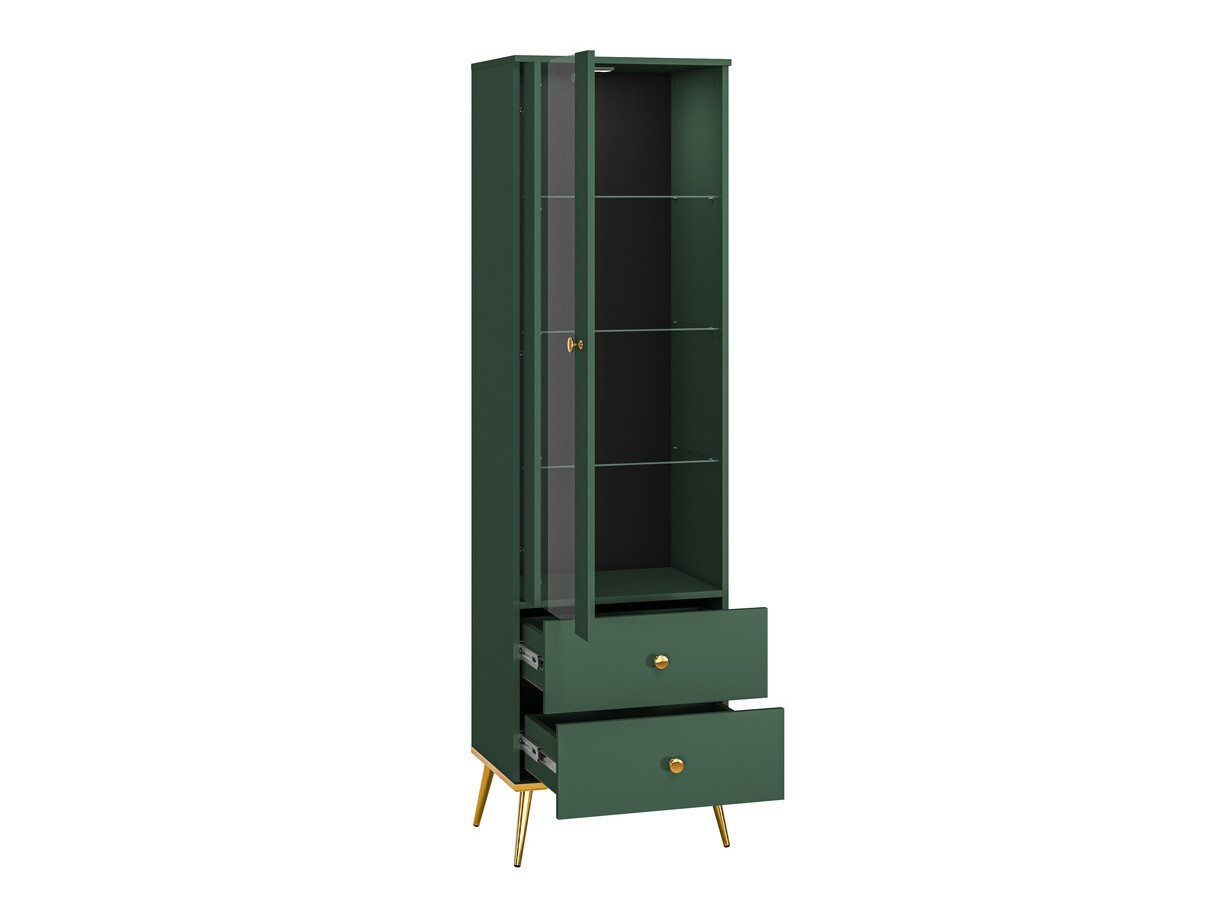 Polica Flonovu 100 (Tamno zelena + Zlatan)