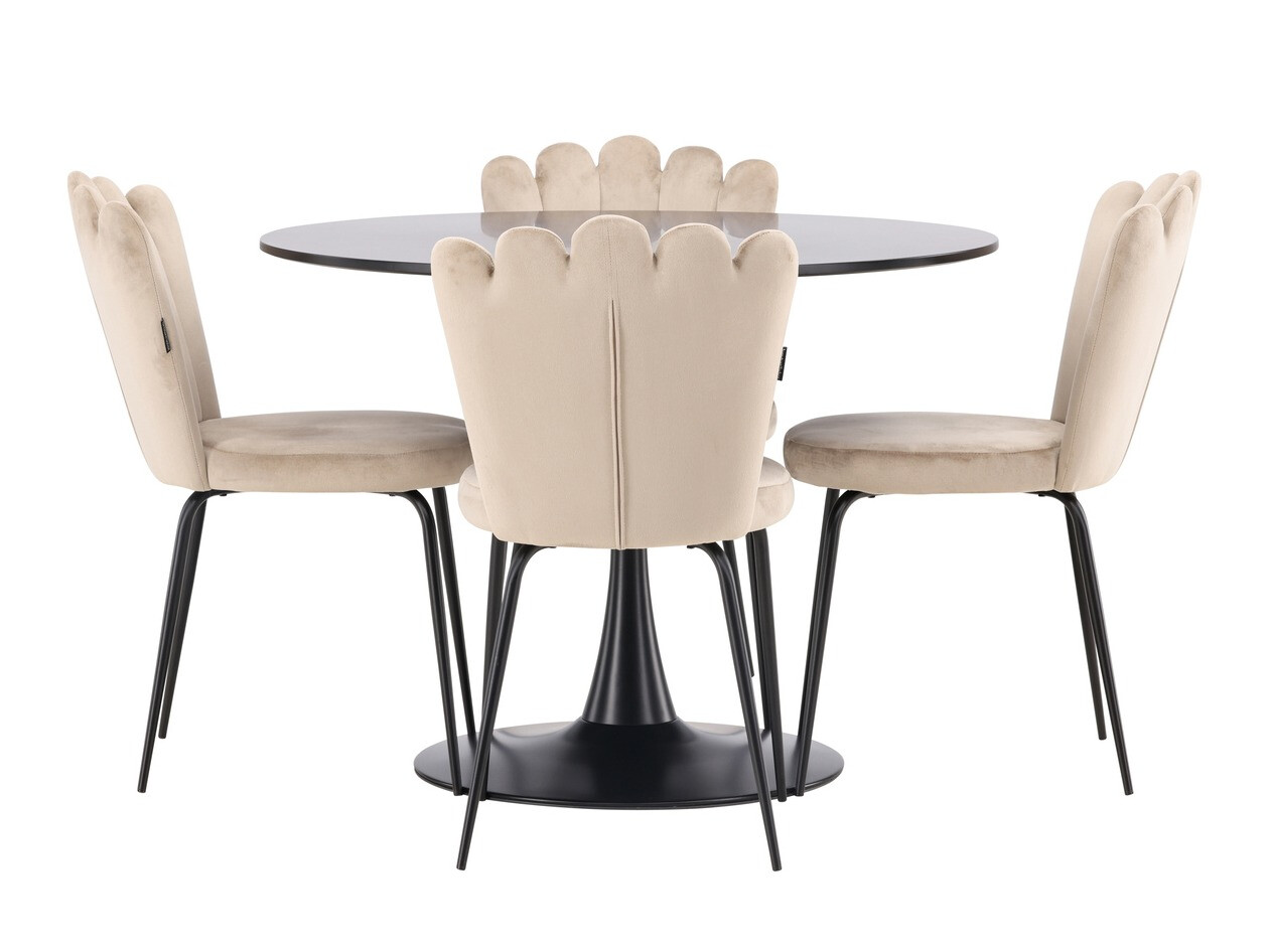 Trpezarijski set Dallas 4162