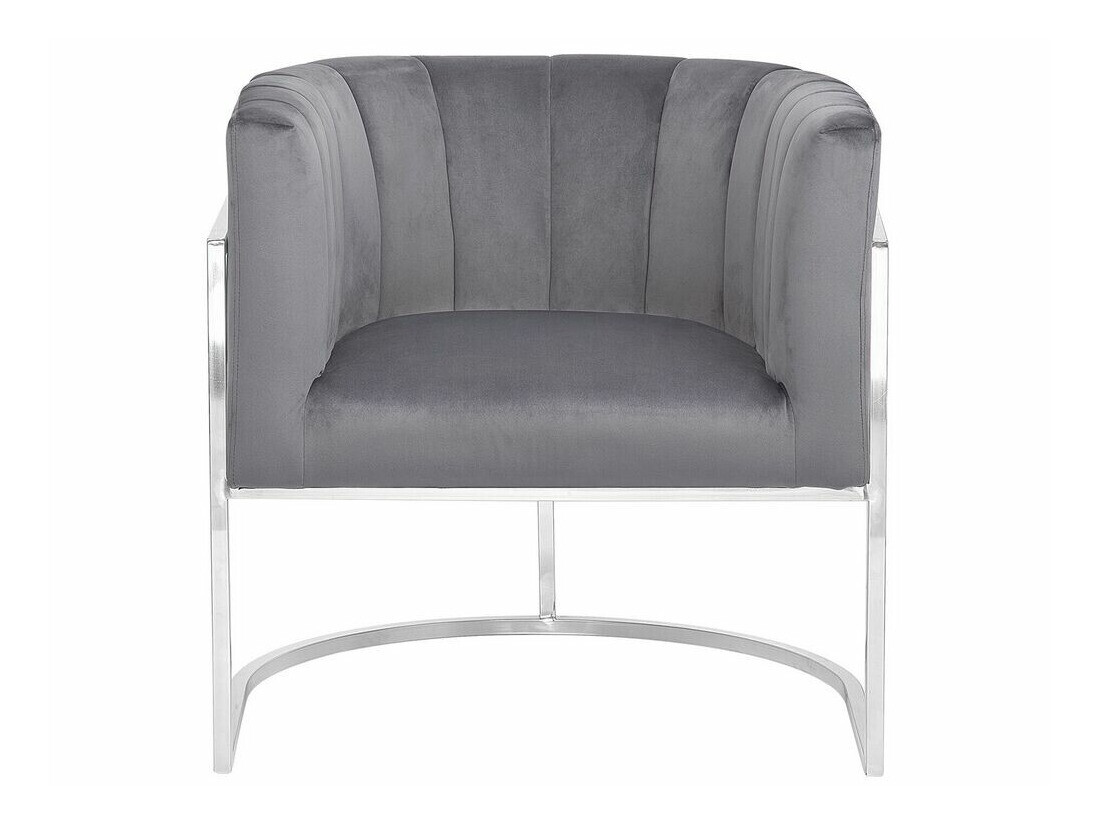 Fotelja Berwyn 1141 (Sivo + Srebrna)