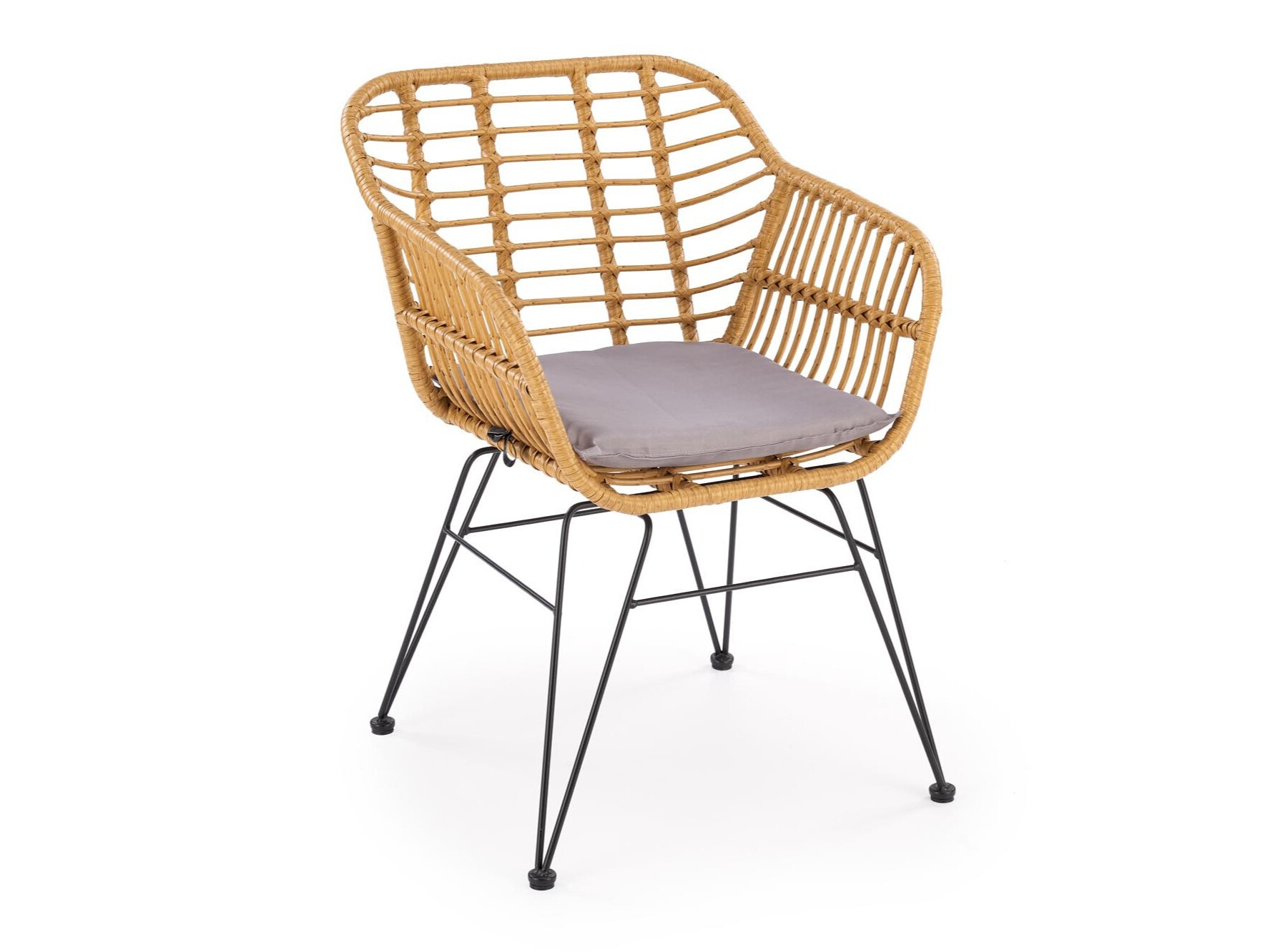Stolica Houston 1853