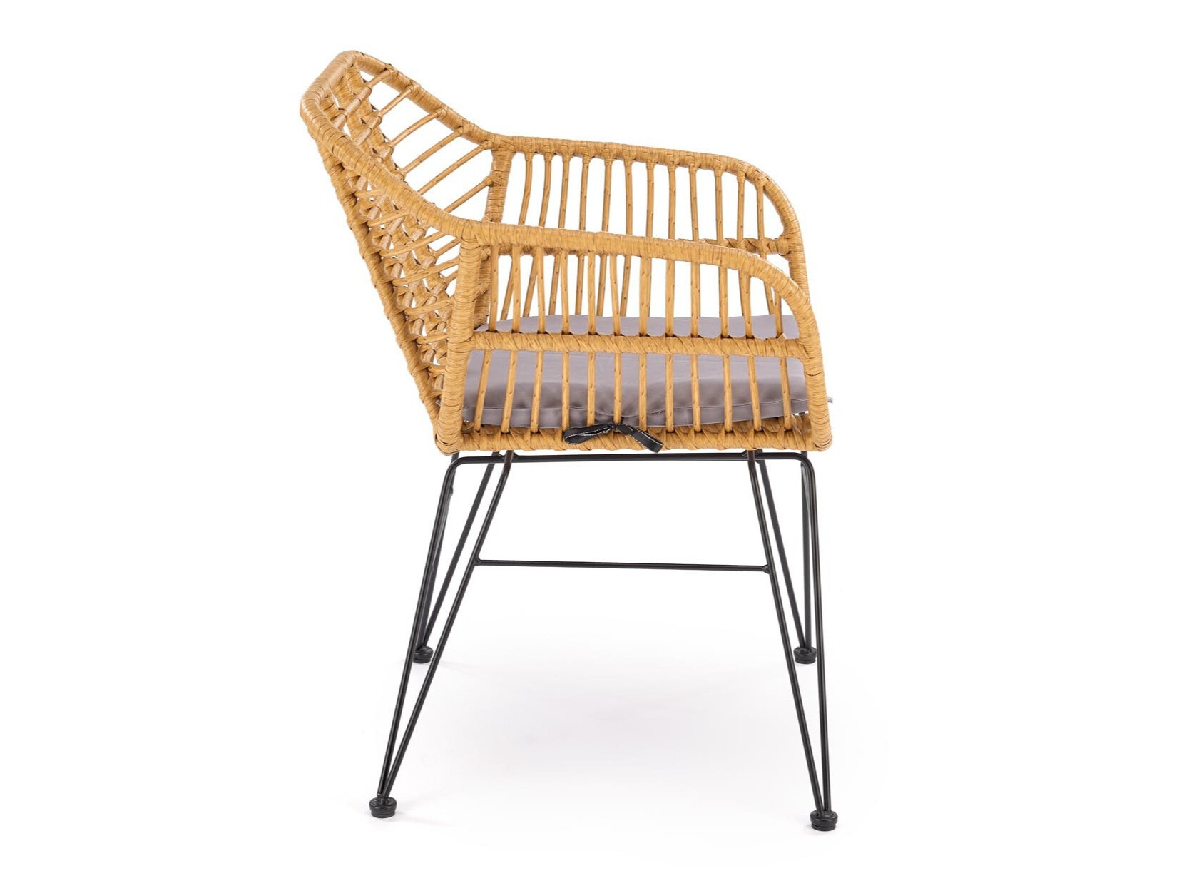 Stolica Houston 1853