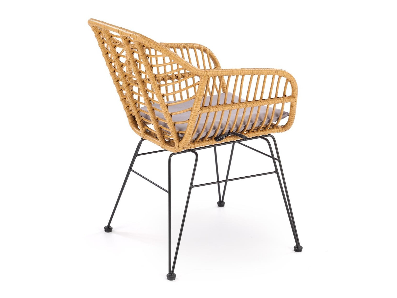 Stolica Houston 1853