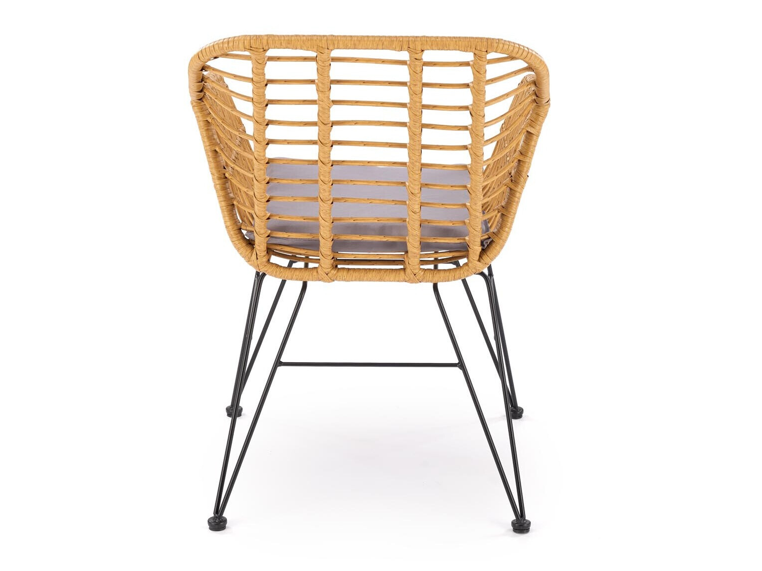 Stolica Houston 1853