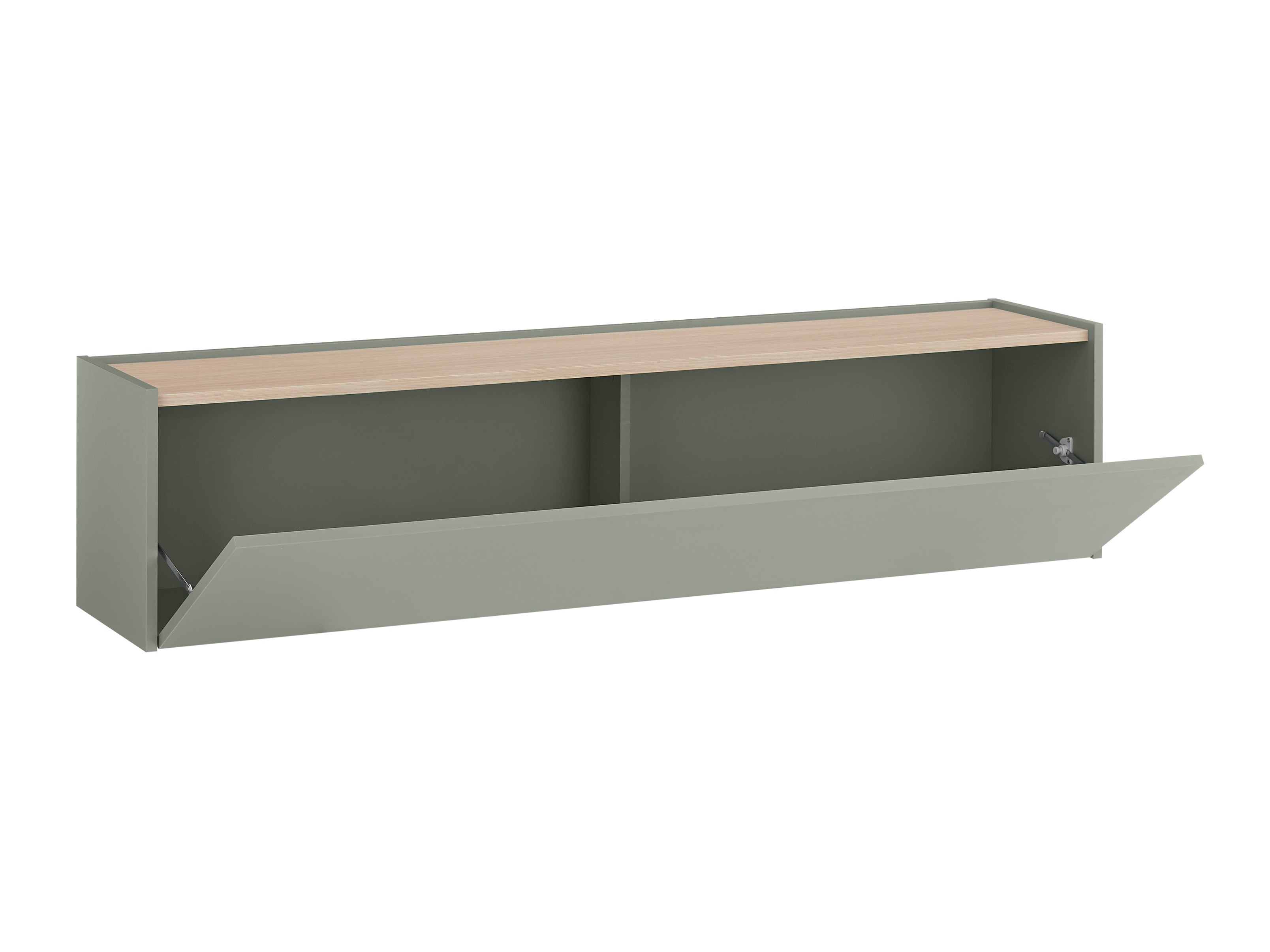 TV komoda Elbsori 108 (Zelena + Hrast)