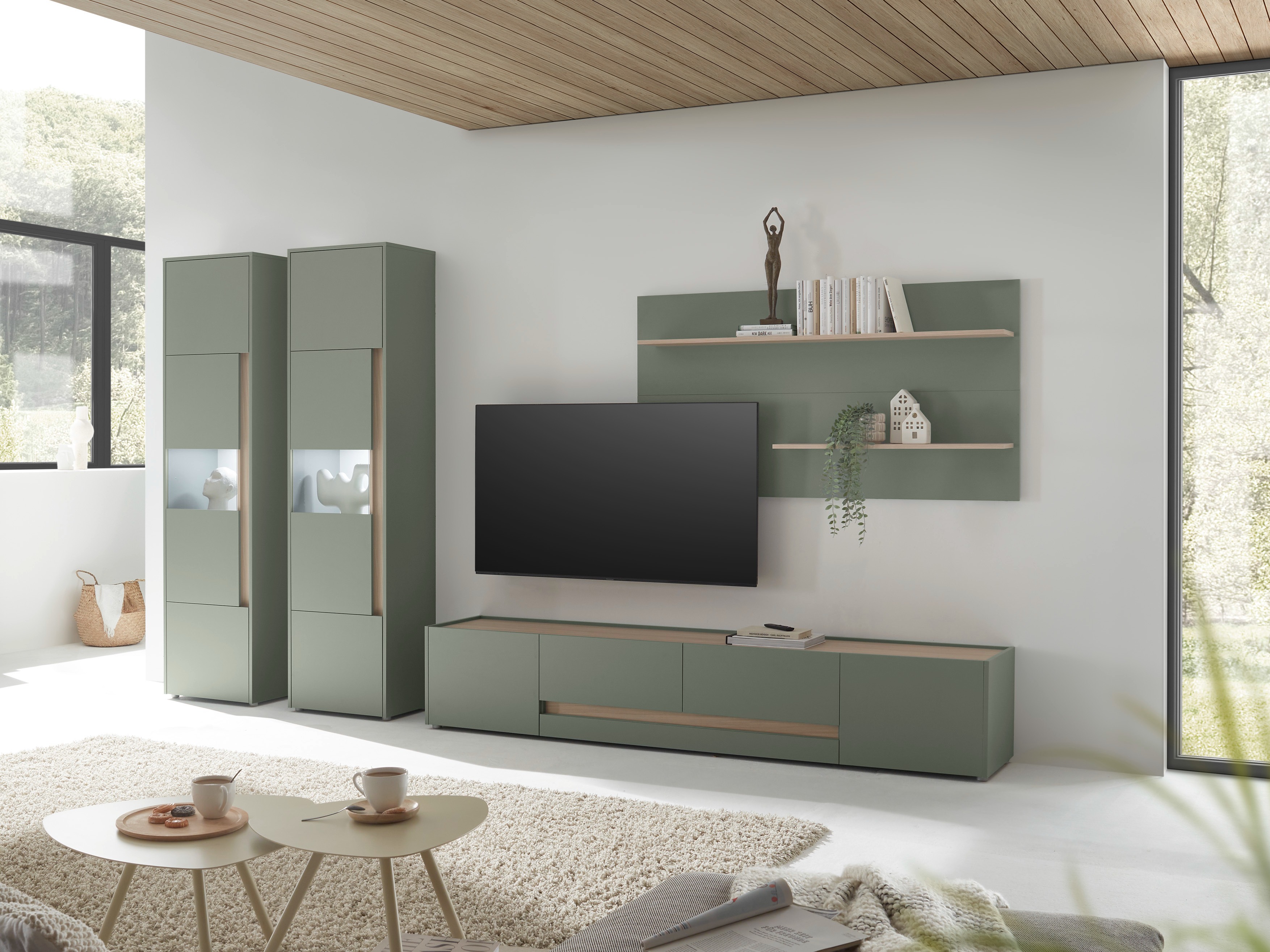 TV komoda Elbsori 116 (Zelena + Hrast)