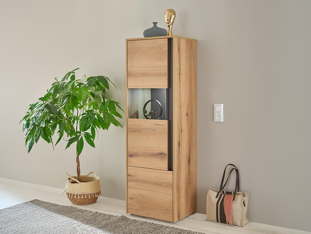 Polica Elbsori 102 (Hrast + Antracit)