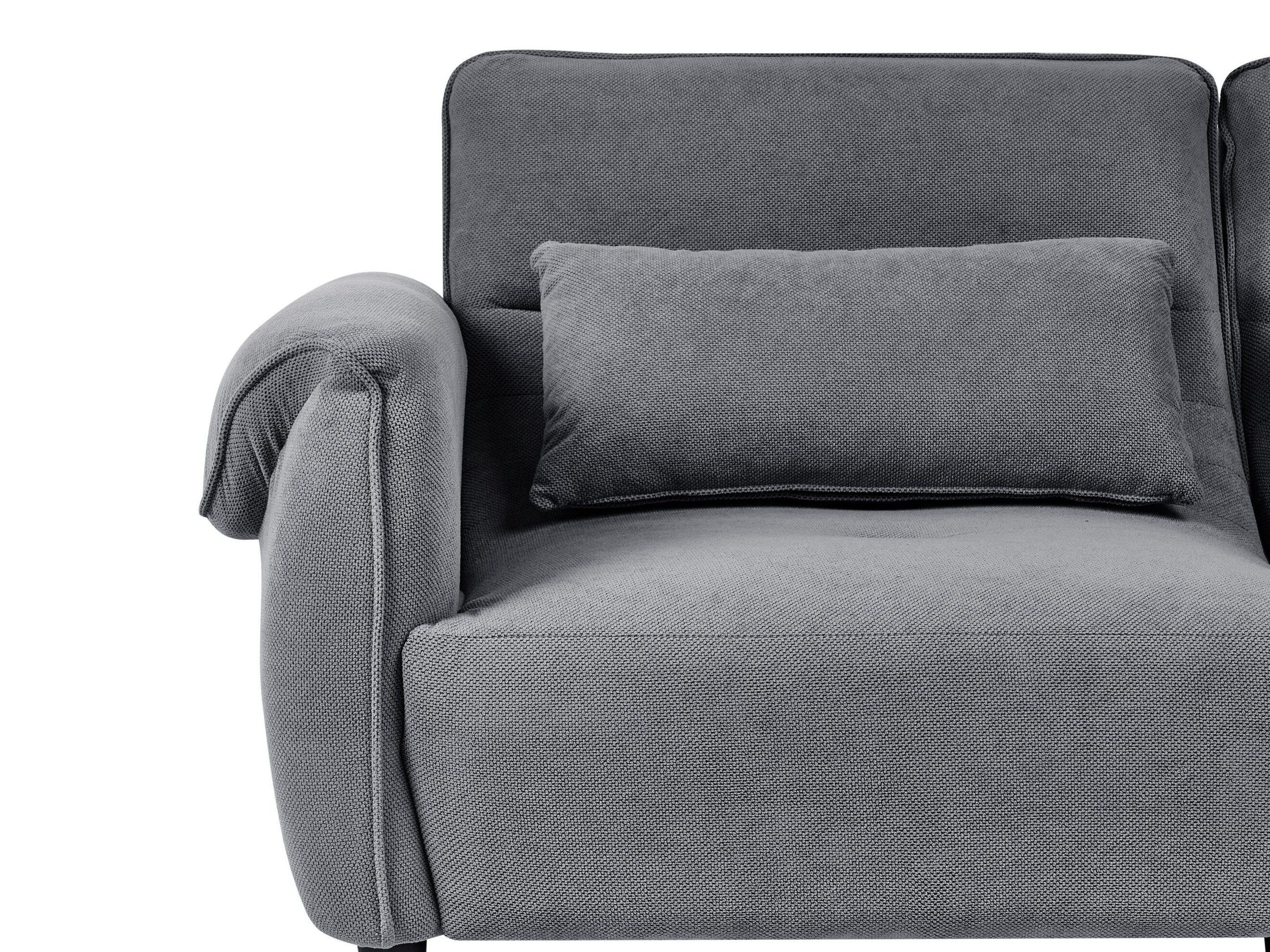 Sofa Berwyn 3169 (Tamnosiva)