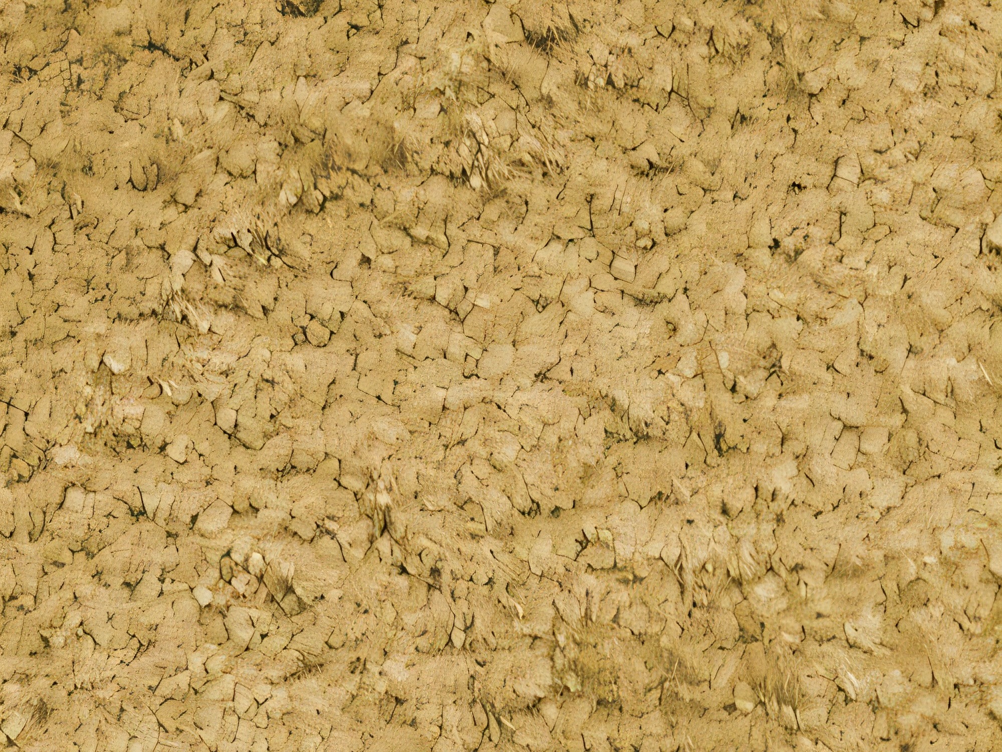 Ugaona garnitura TrendyNest Gubor (Euphoria 10)