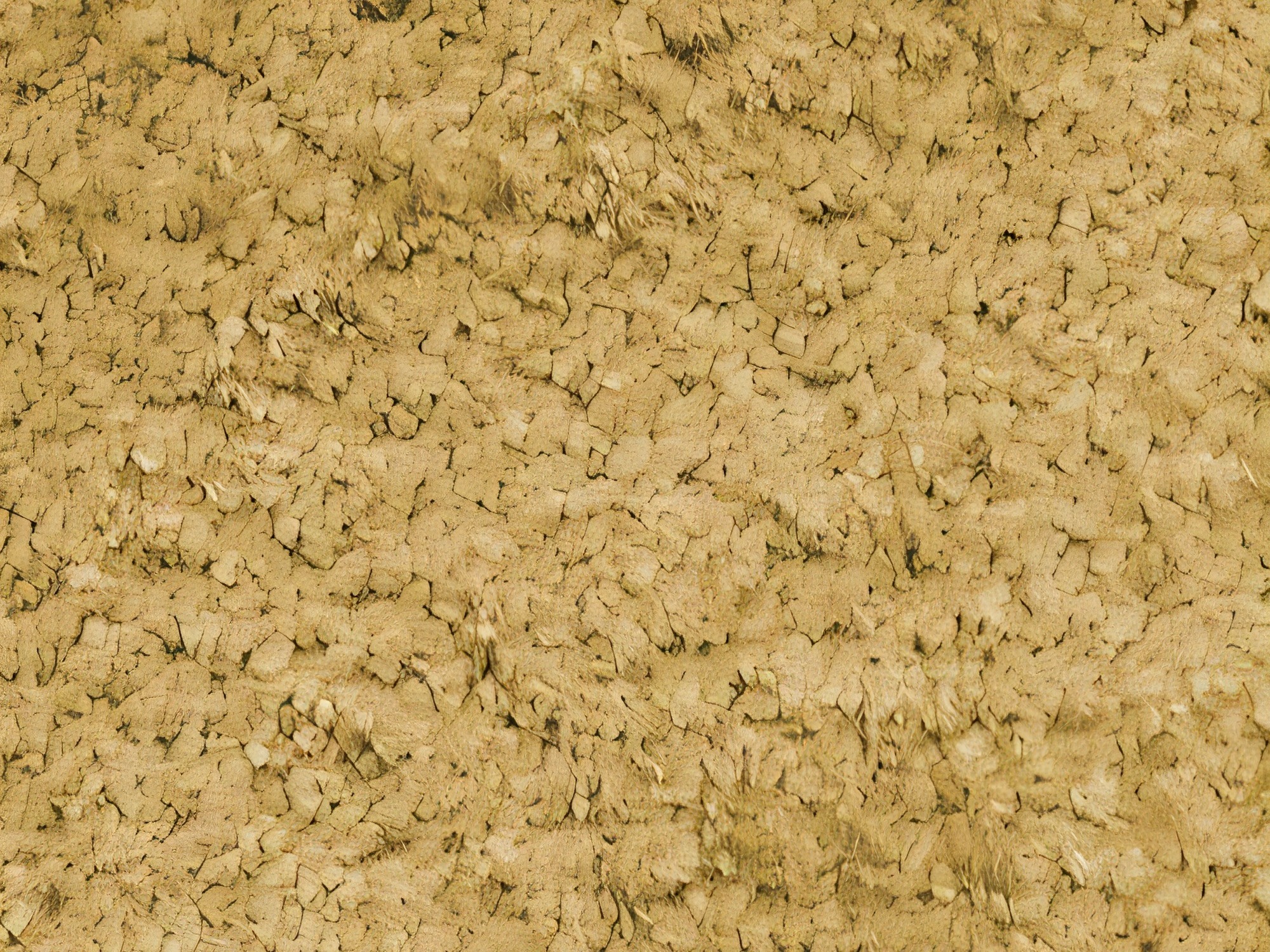 Ugaona garnitura TrendyNest Gubor (Euphoria 10)