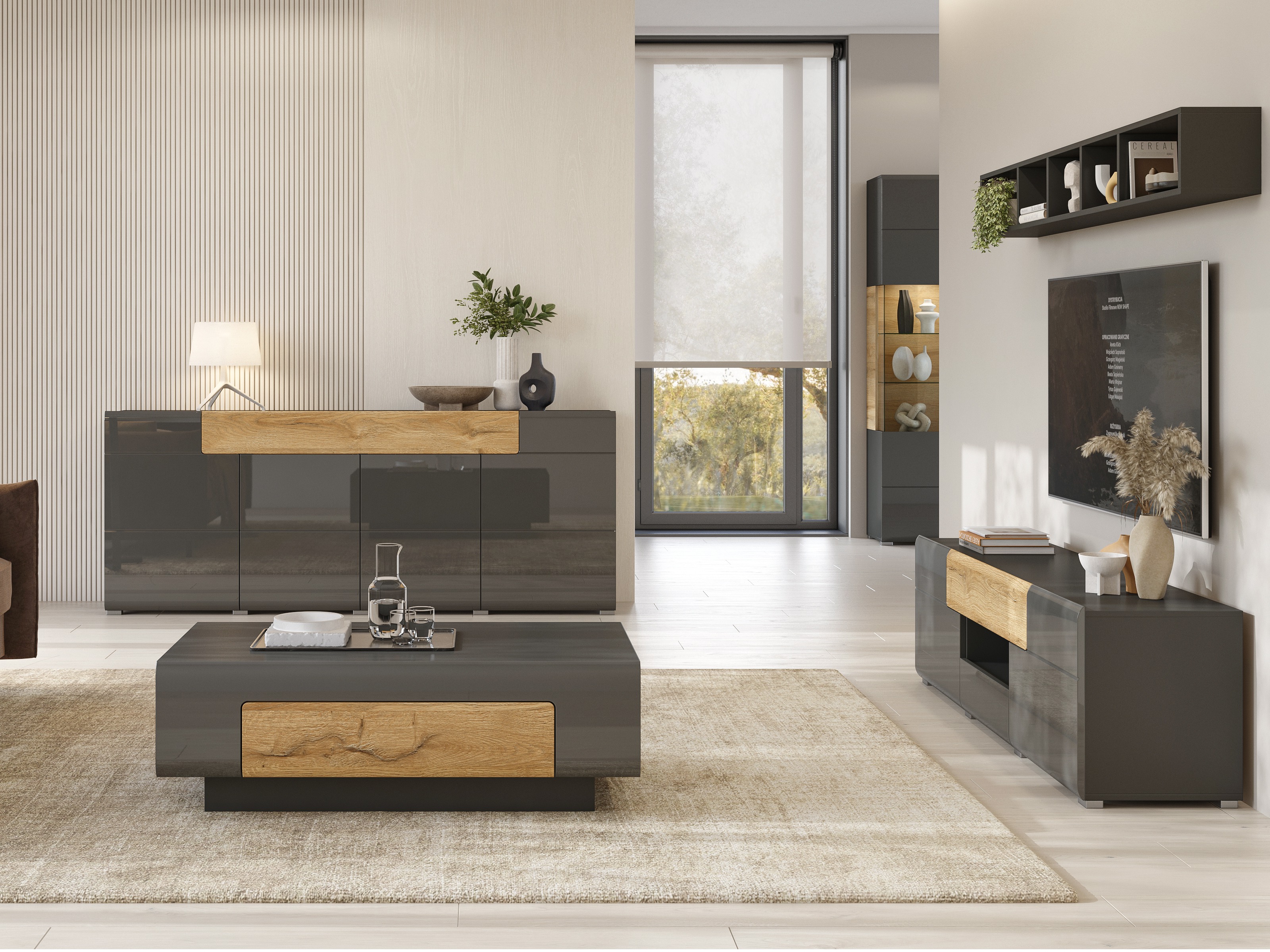 TV komoda Torsone 101 (Antracit + Gloss antracit + Grandson hrast)